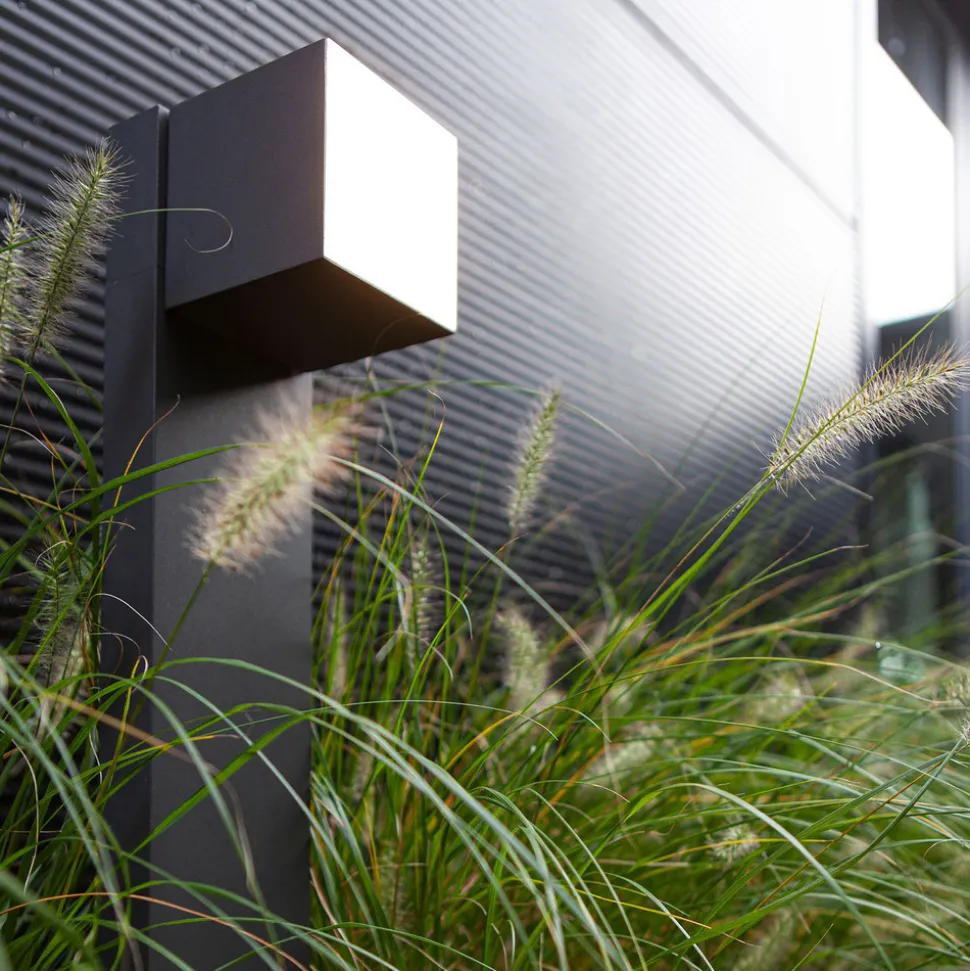 Cuba LED-veilampe, antrasitt med stikkontakt