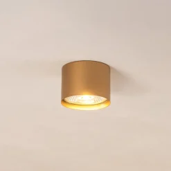 Downlight Chloe fast, gull