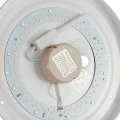 EGLO connect Capasso-C LED-taklampe med motiv