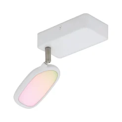 EGLO connect Palomable-C LED-takspot 1 lyskilde