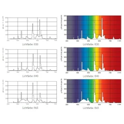 G13 T8 51W 865 Master TL-D Eco