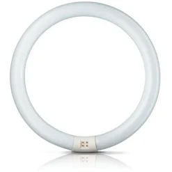 G10q 22W 840 lysstoffring Master Circular TL-E