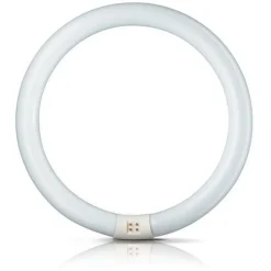 G10q 40W 840 lysstoffring Master Circular TL-E
