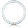 G10q 32W 865 lysstoffring Master Circular TL-E