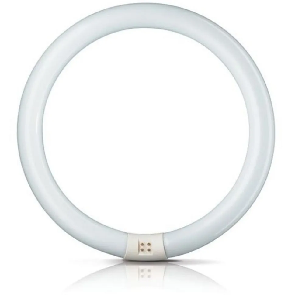 G10q 32W 865 lysstoffring Master Circular TL-E