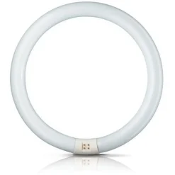 G10q 40W 830 lysstoffring Master Circular TL-E