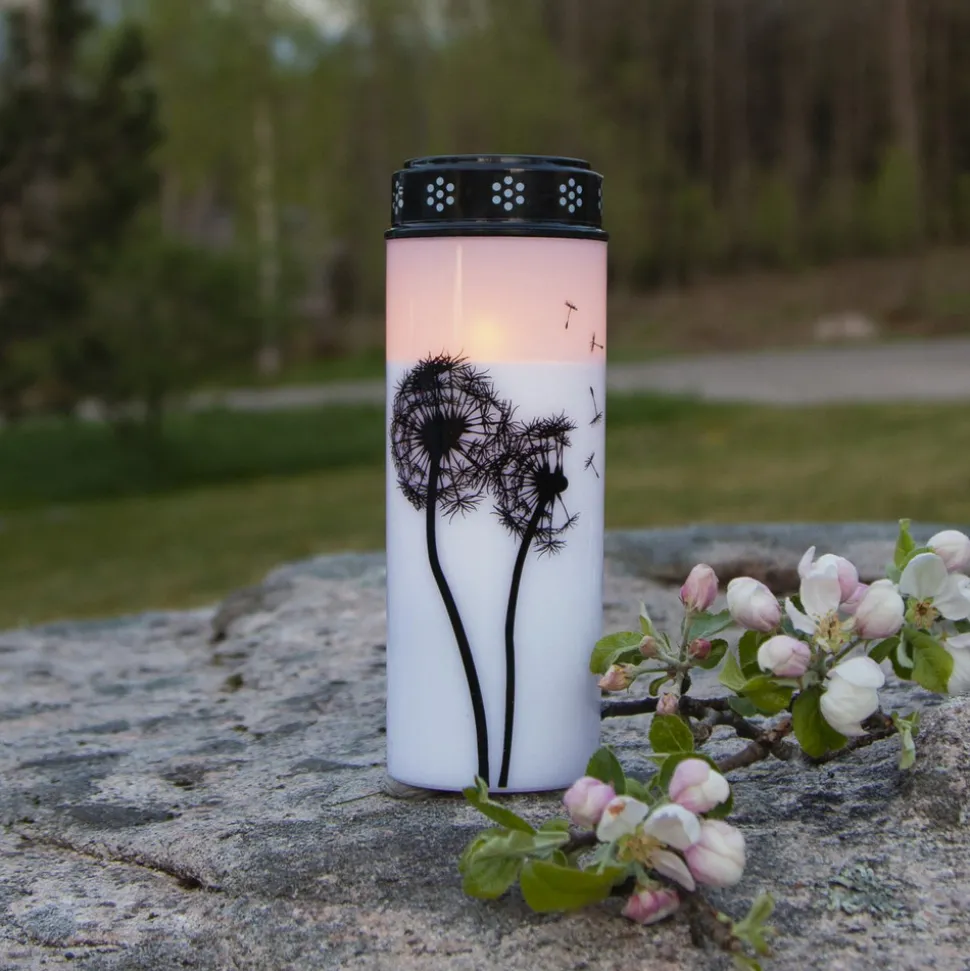 LED gravlys Løvetann, 21 cm hvit/svart plast batteri