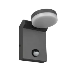 LED utendørs vegglampe Adour, antrasitt, sensor, vippbar, CCT