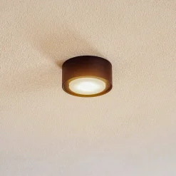 Loppe takspotlight i stål, svart