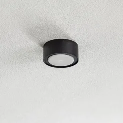 Loppe takspotlight i stål, svart