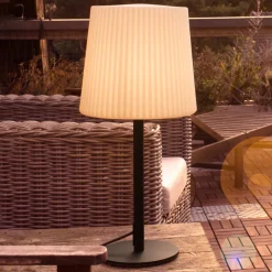 Paul Neuhaus bordlampe Falter, IP65, høyde 60 cm