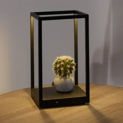 Paul Neuhaus Contura LED-bordlampe i svart