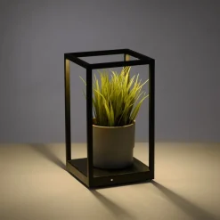 Paul Neuhaus Contura LED-bordlampe i svart