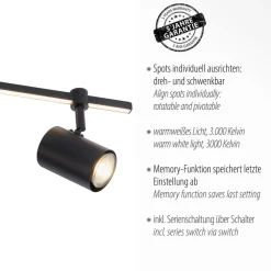 Paul Neuhaus LED-downlight Barik, 120 cm, justerbar