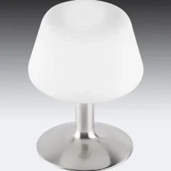 Paul Neuhaus Till bordlampe, stålfarget, glass, dimbar