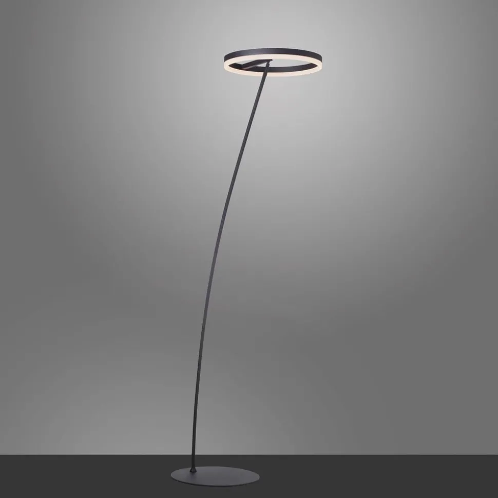 Paul Neuhaus Titus LED-gulvlampe antrasitt dimmer