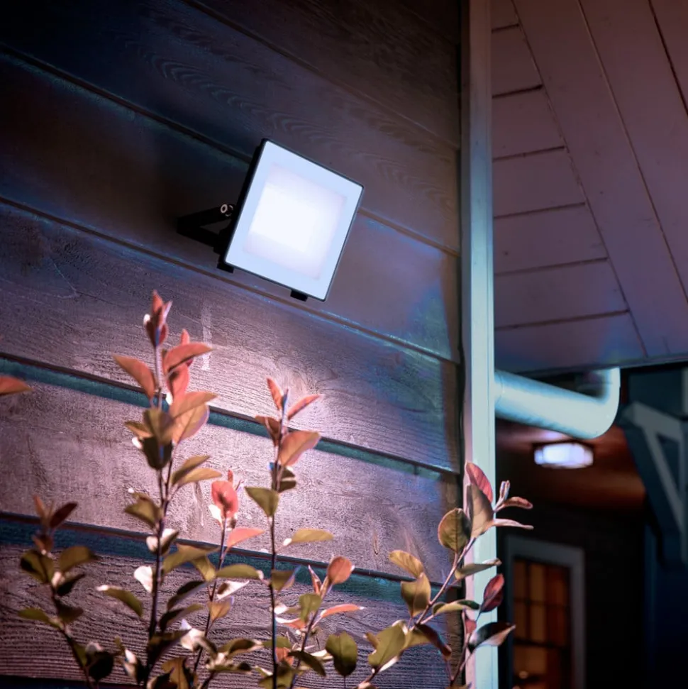 Philips utendørs LED-spot Lois UE flood, 14 W, 5000 K, IP65