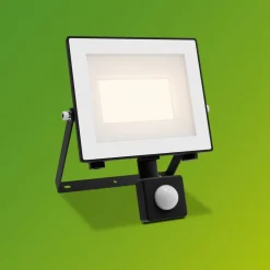 Philips utendørs LED-spot Lois UE Sensor, 14 W, 3000 K IP65