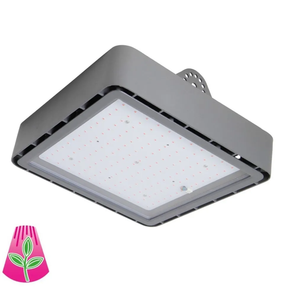 Plantepære GoLeaf X1 S3 rød-blå fotosyntese