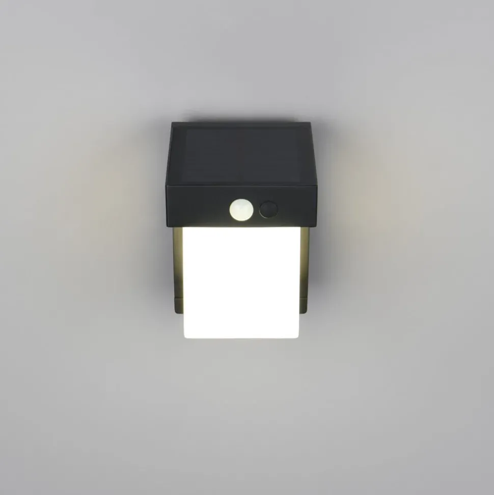 Solcelledrevet vegglampe Colombo, svart matt, høyde 14 cm, sensor