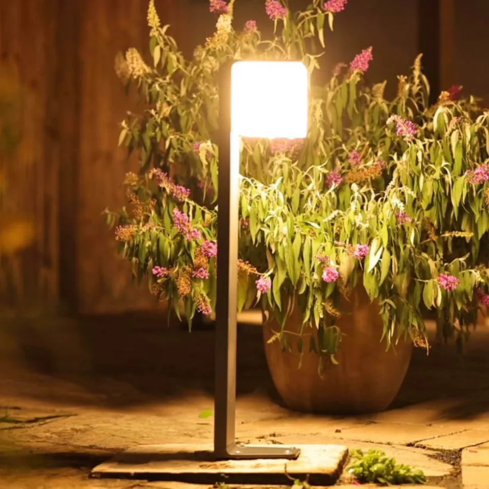 STEINEL GL 80 SC Sensor gangbanelys, antrasitt