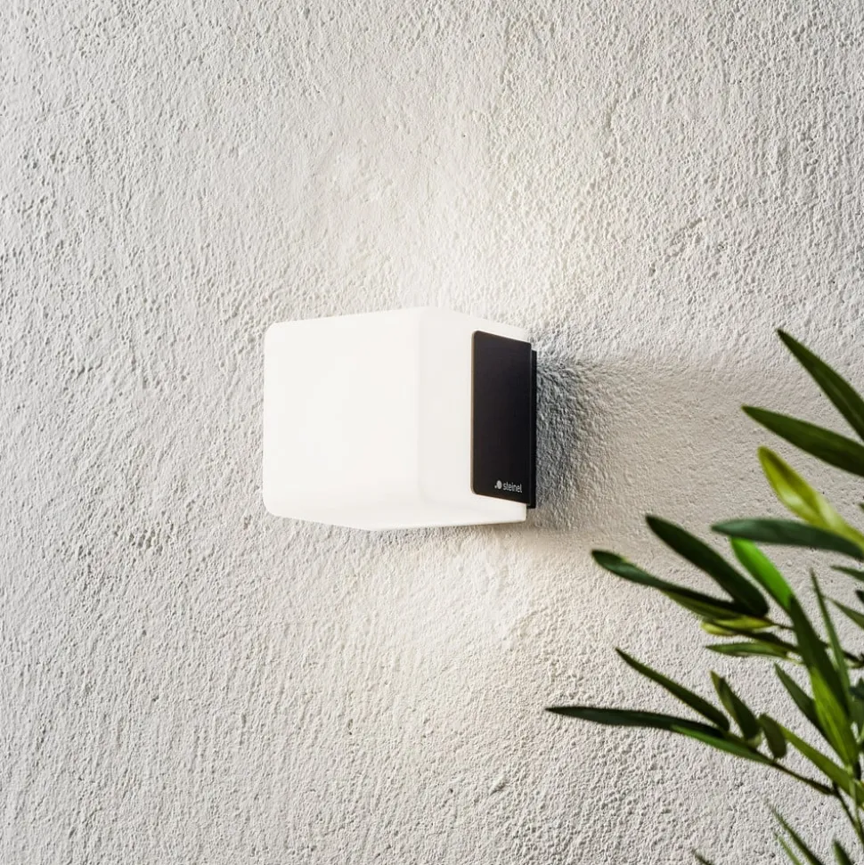 STEINEL L 835 C utendørs LED-vegglampe, antrasitt