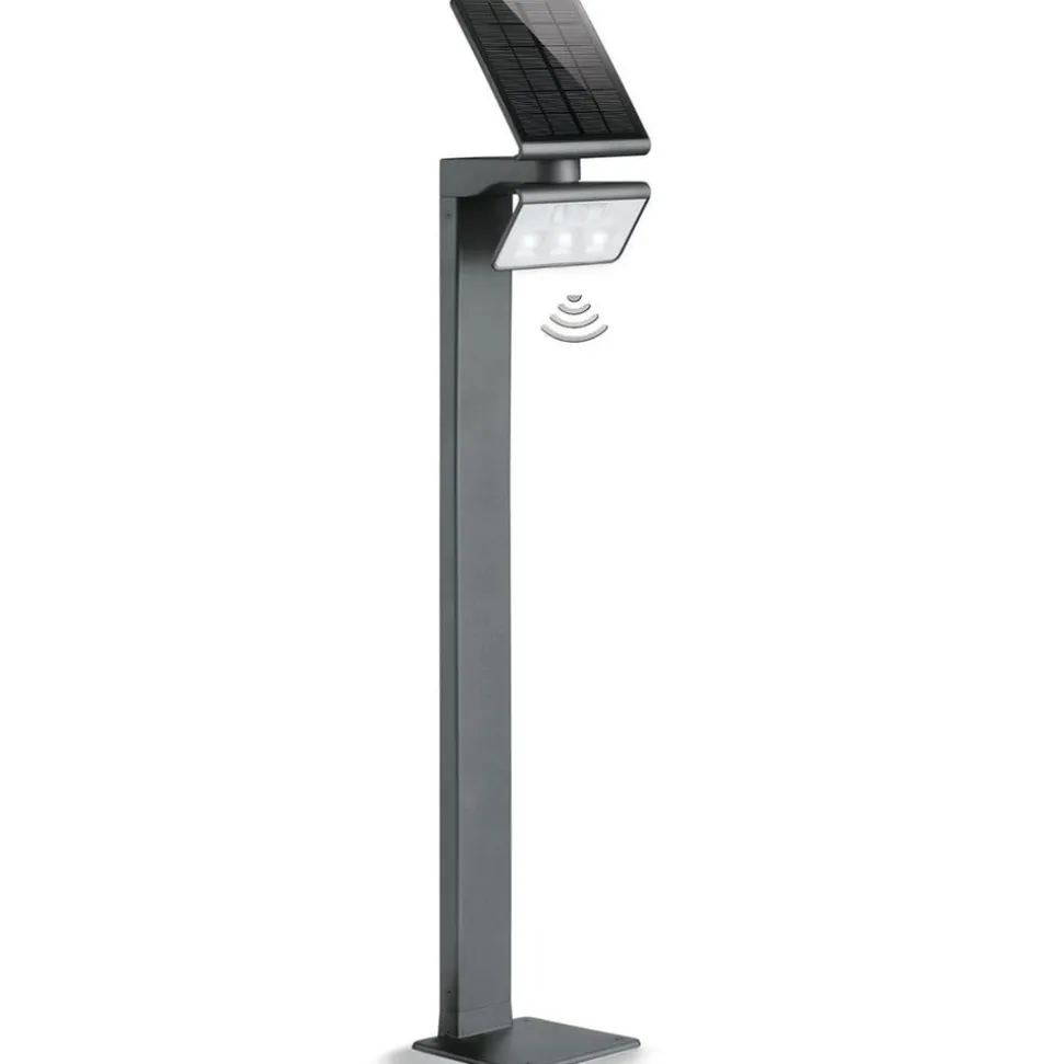 Steinel XSolar Professional LED-sensor-veilampe