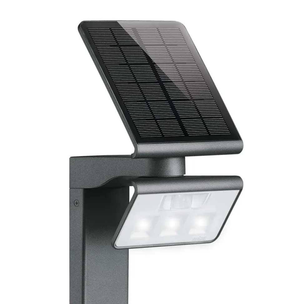 Steinel XSolar Professional LED-sensor-veilampe