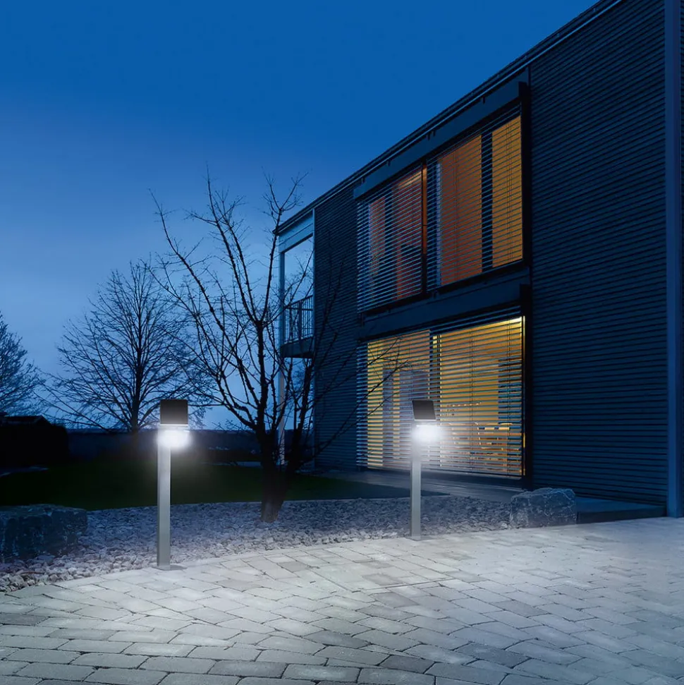 Steinel XSolar Professional LED-sensor-veilampe