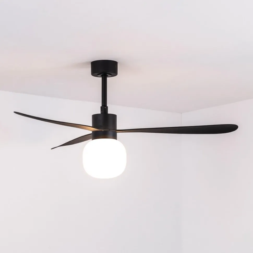 Takvifte Amelia Ball LED-lampe svart