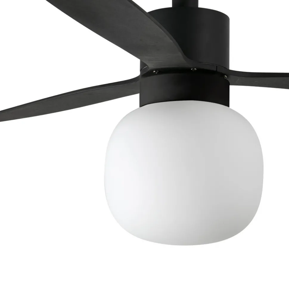 Takvifte Amelia Ball LED-lampe svart