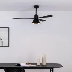 Takvifte Amelia Cone, LED-lampe, svart