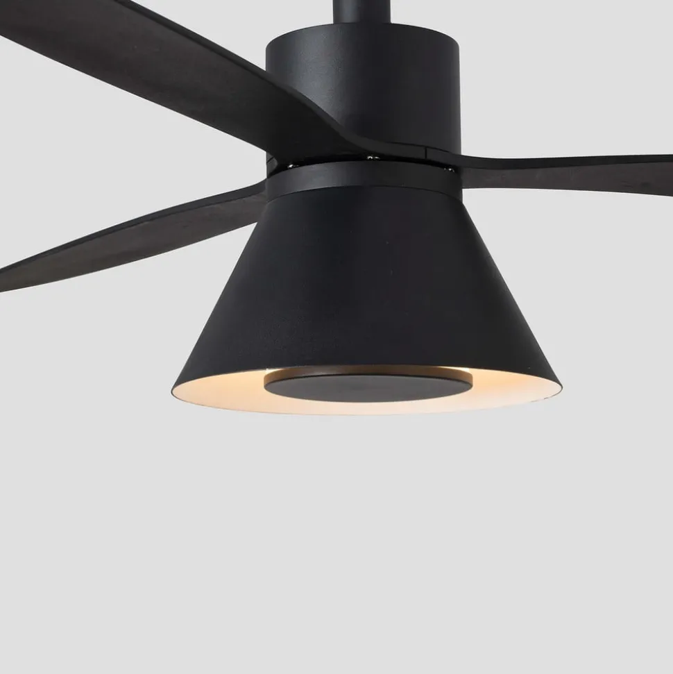Takvifte Amelia Cone, LED-lampe, svart