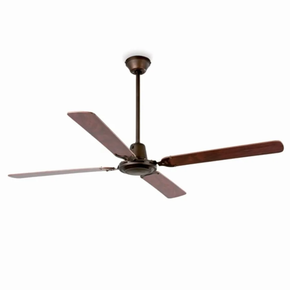 Takvifte Malvinas, brun