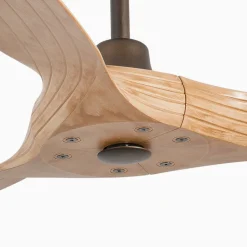 Takvifte Morea, DC, 3 blad lysebrun