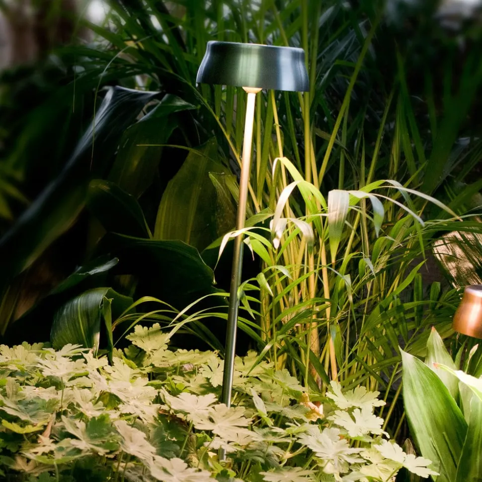 Zafferano Sister Light batterilampe jordspyd grønn
