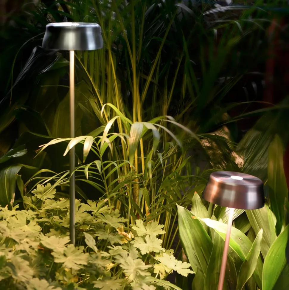 Zafferano Sister Light batterilampe jordspyd grønn