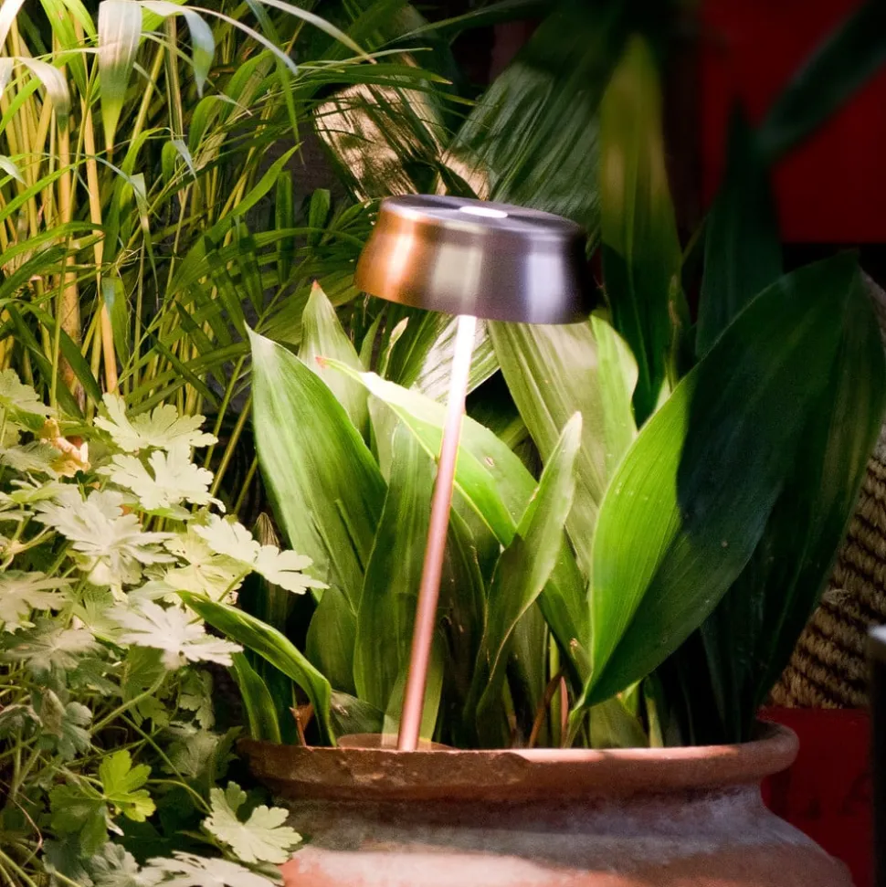 Zafferano Sister Light batterilampe kobber