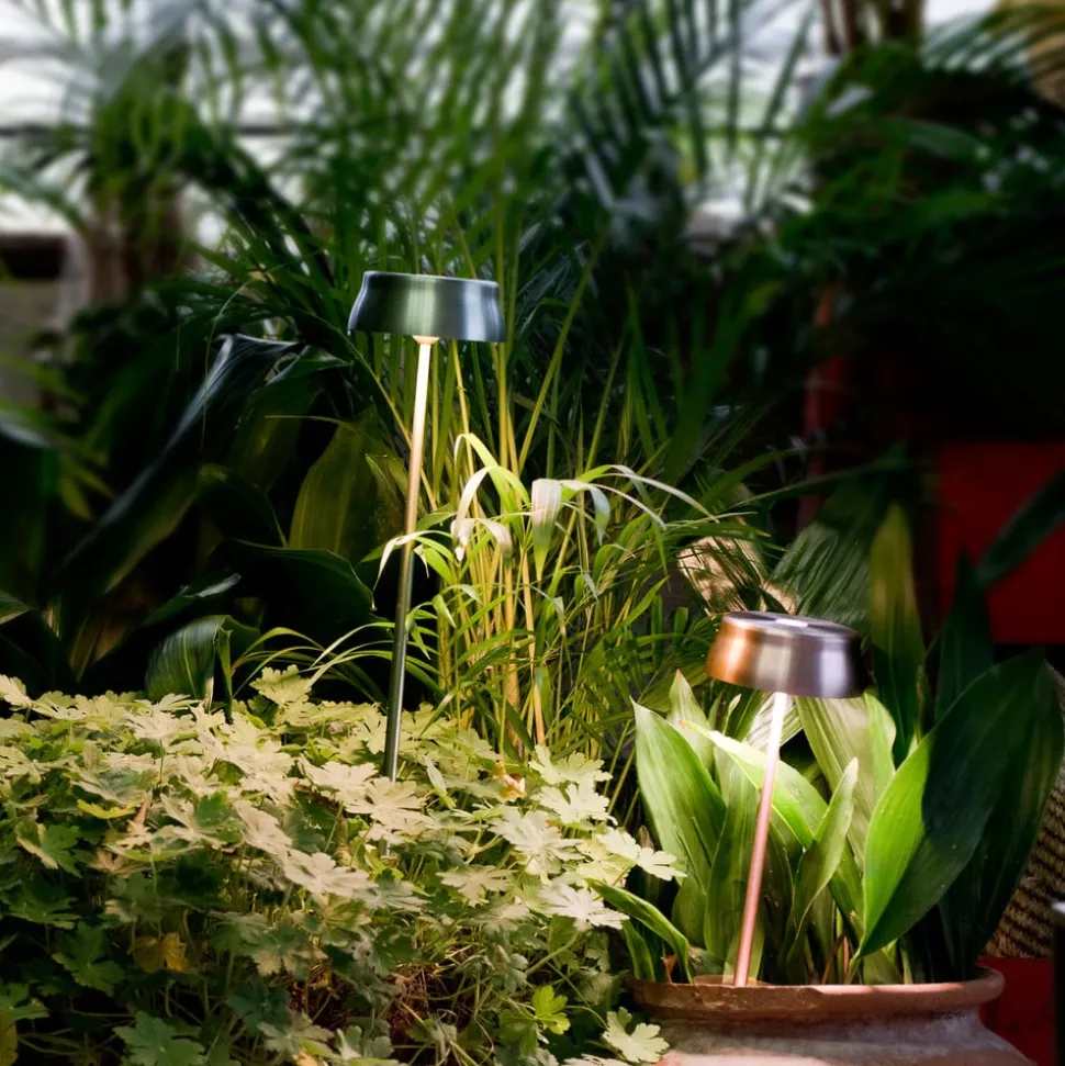 Zafferano Sister Light batterilampe kobber